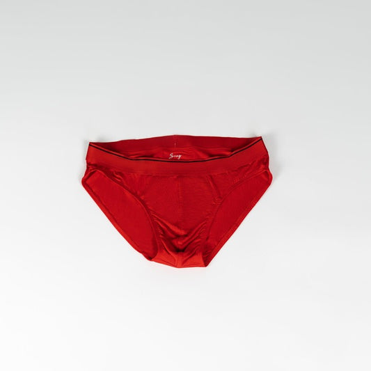 Men’s briefs